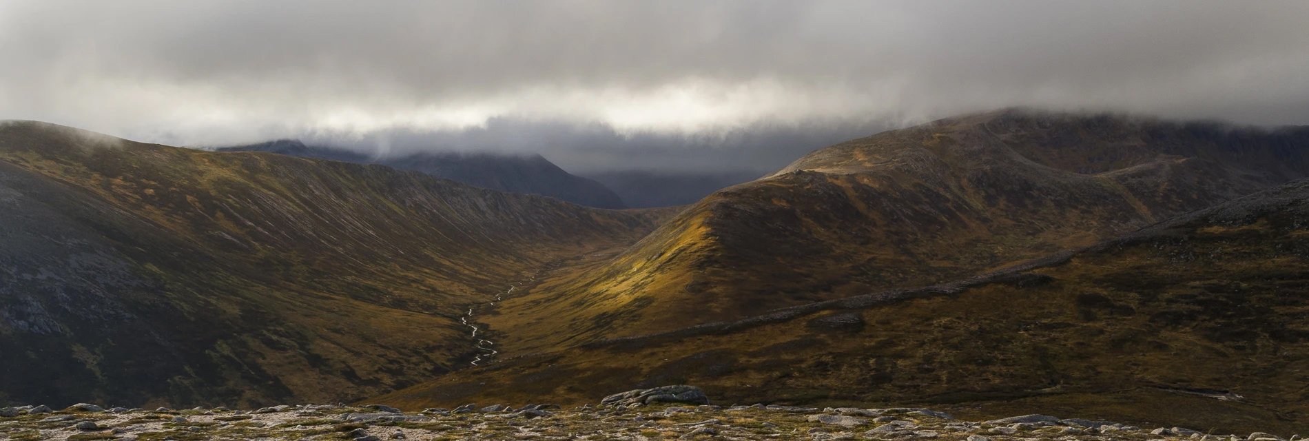 The Scottish Experience