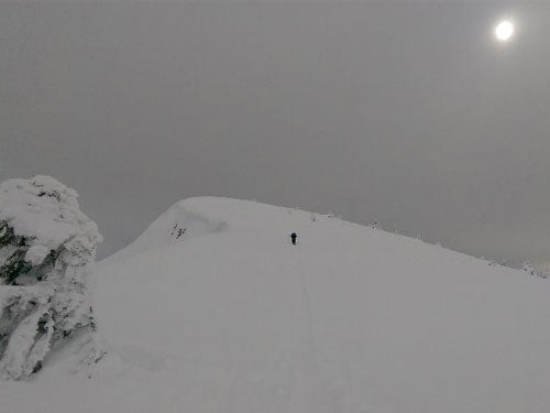 Not Your Average Board Meeting